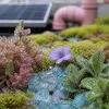 La biosphère comme boussole RSE : articuler impact environnemental et performance d’entreprise