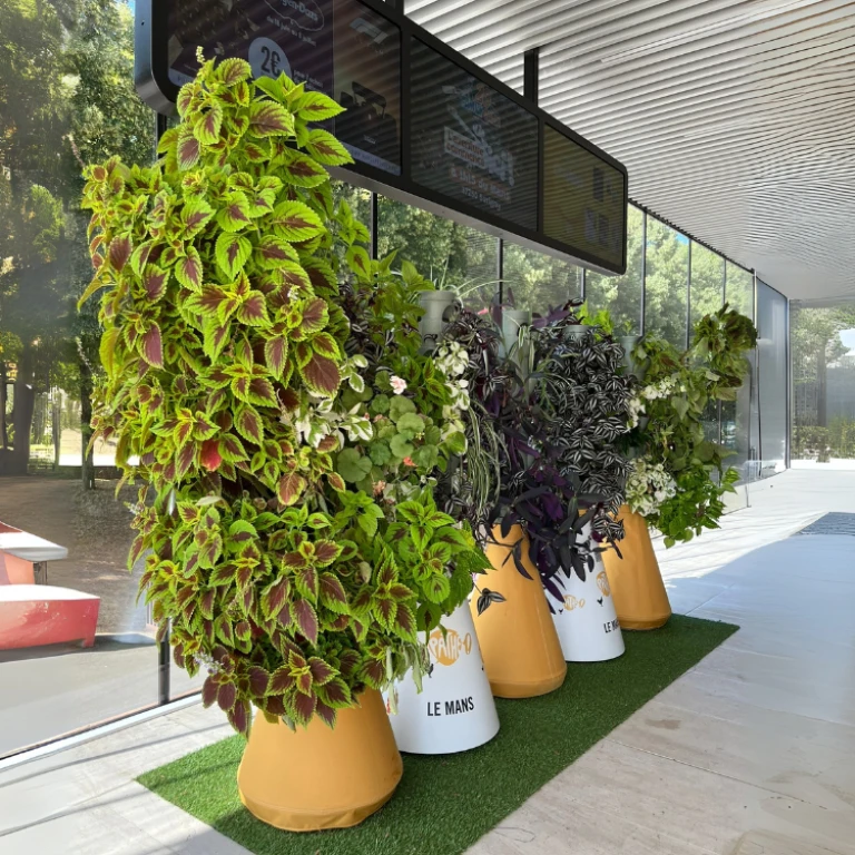 Interview de Valentin Gypteau : Home Potager une solution concrète pour végétaliser durablement les espaces urbains