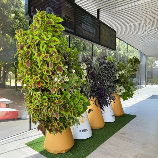 Interview de Valentin Gypteau : Home Potager une solution concrète pour végétaliser durablement les espaces urbains