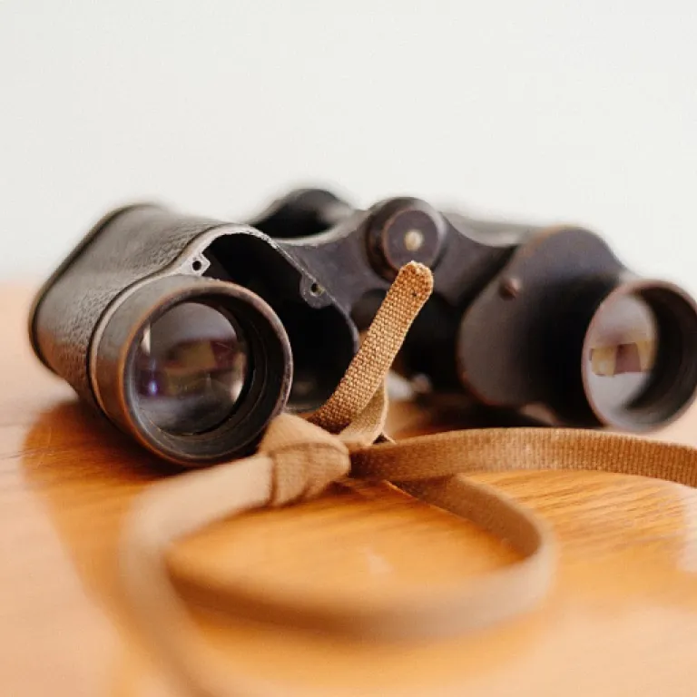 Formation à la délégation de pouvoir : sécuriser les responsabilités en entreprise