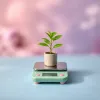 EUDR au 30 décembre : les importateurs français ont-ils pris la mesure du règlement anti-déforestation ?